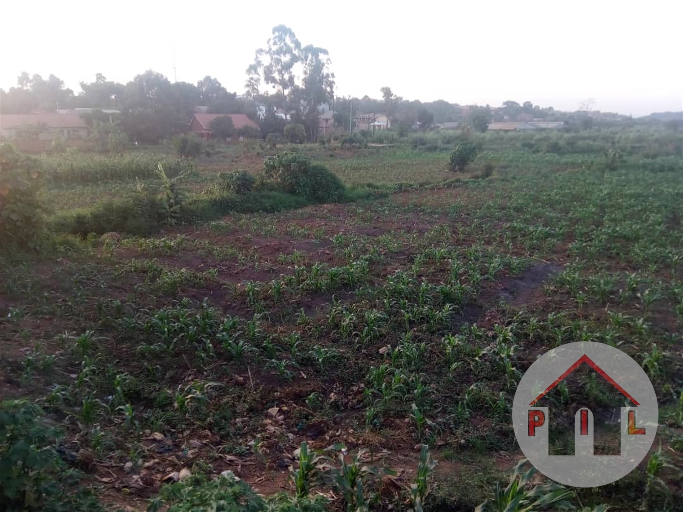 Agricultural Land for sale in Bukakata Masaka