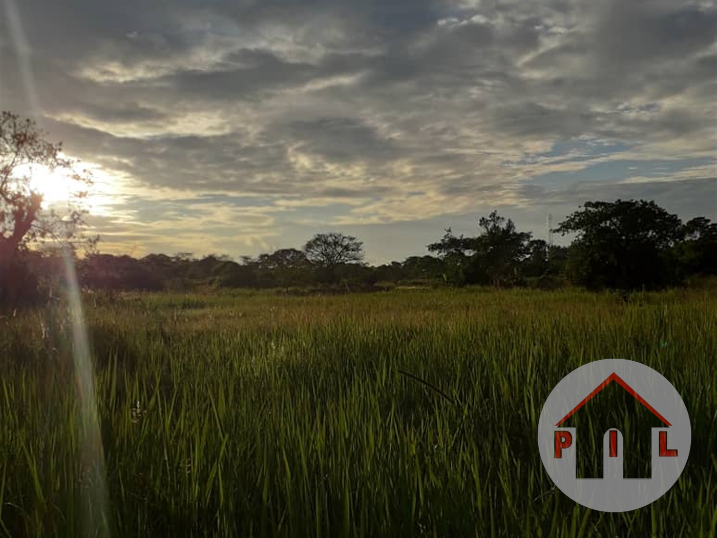 Agricultural Land for sale in Luweero Luweero