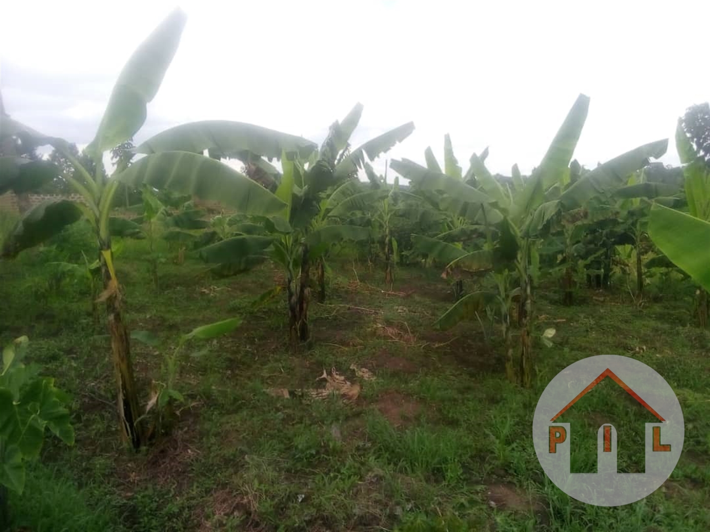 Residential Land for sale in Matugga Wakiso