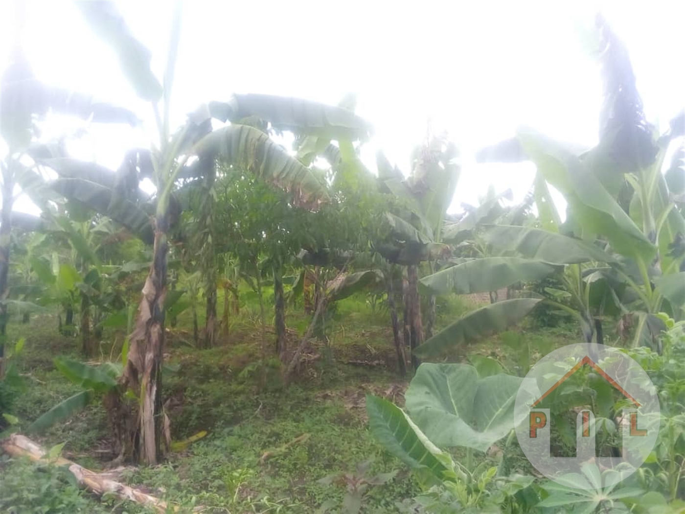 Residential Land for sale in Matugga Wakiso