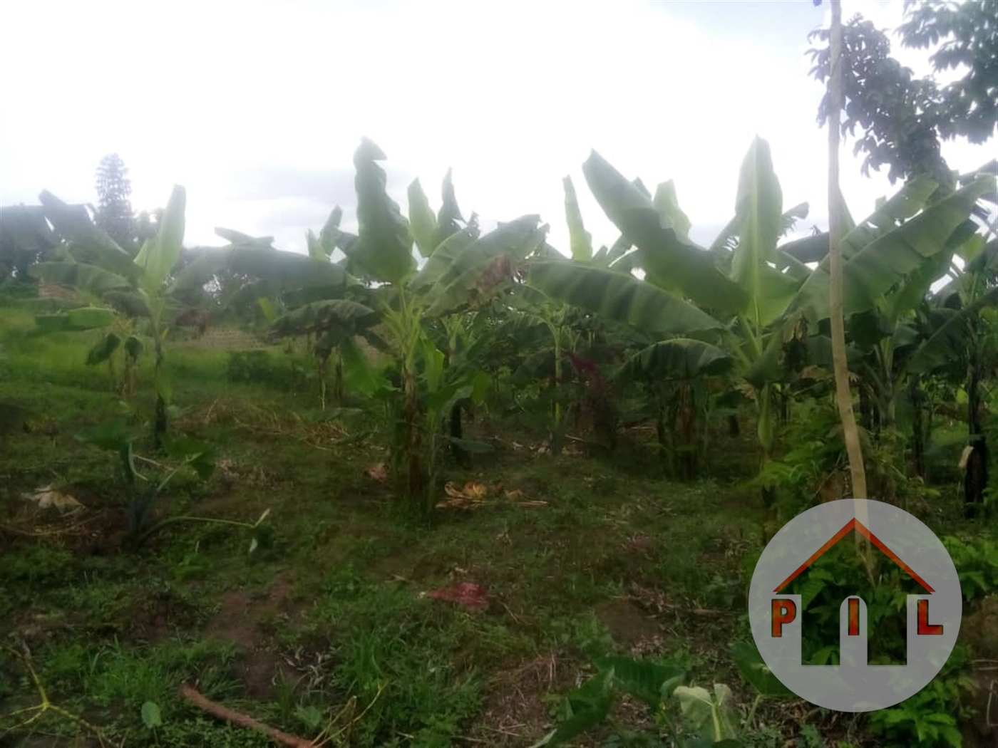 Residential Land for sale in Matugga Wakiso