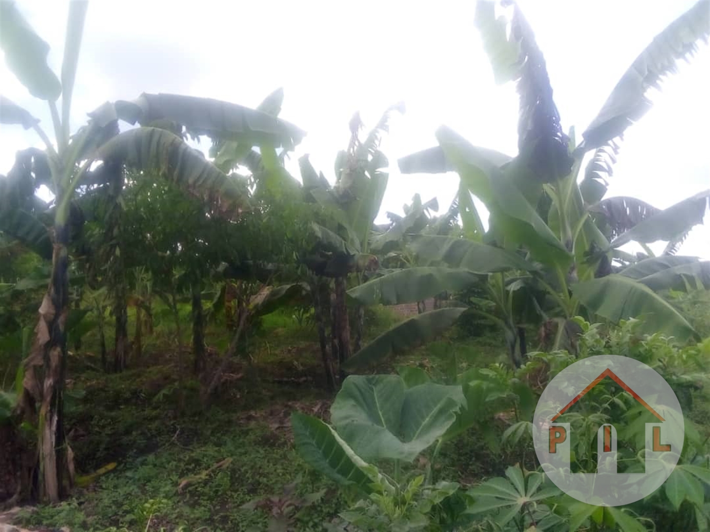 Residential Land for sale in Matugga Wakiso