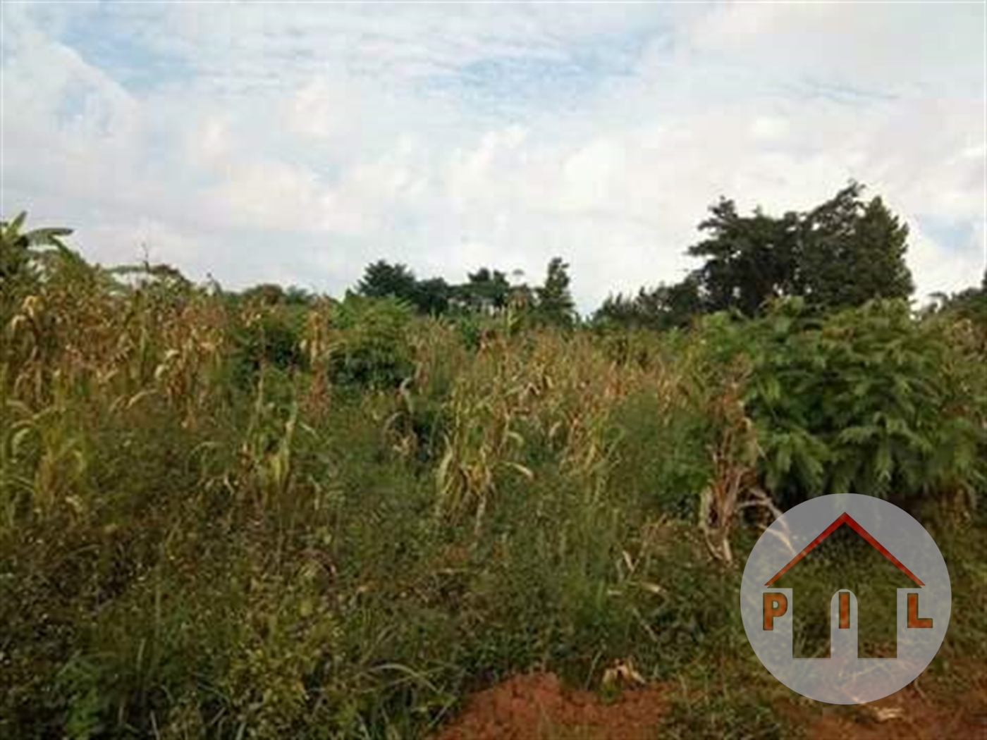 Residential Land for sale in Kijabijo Wakiso