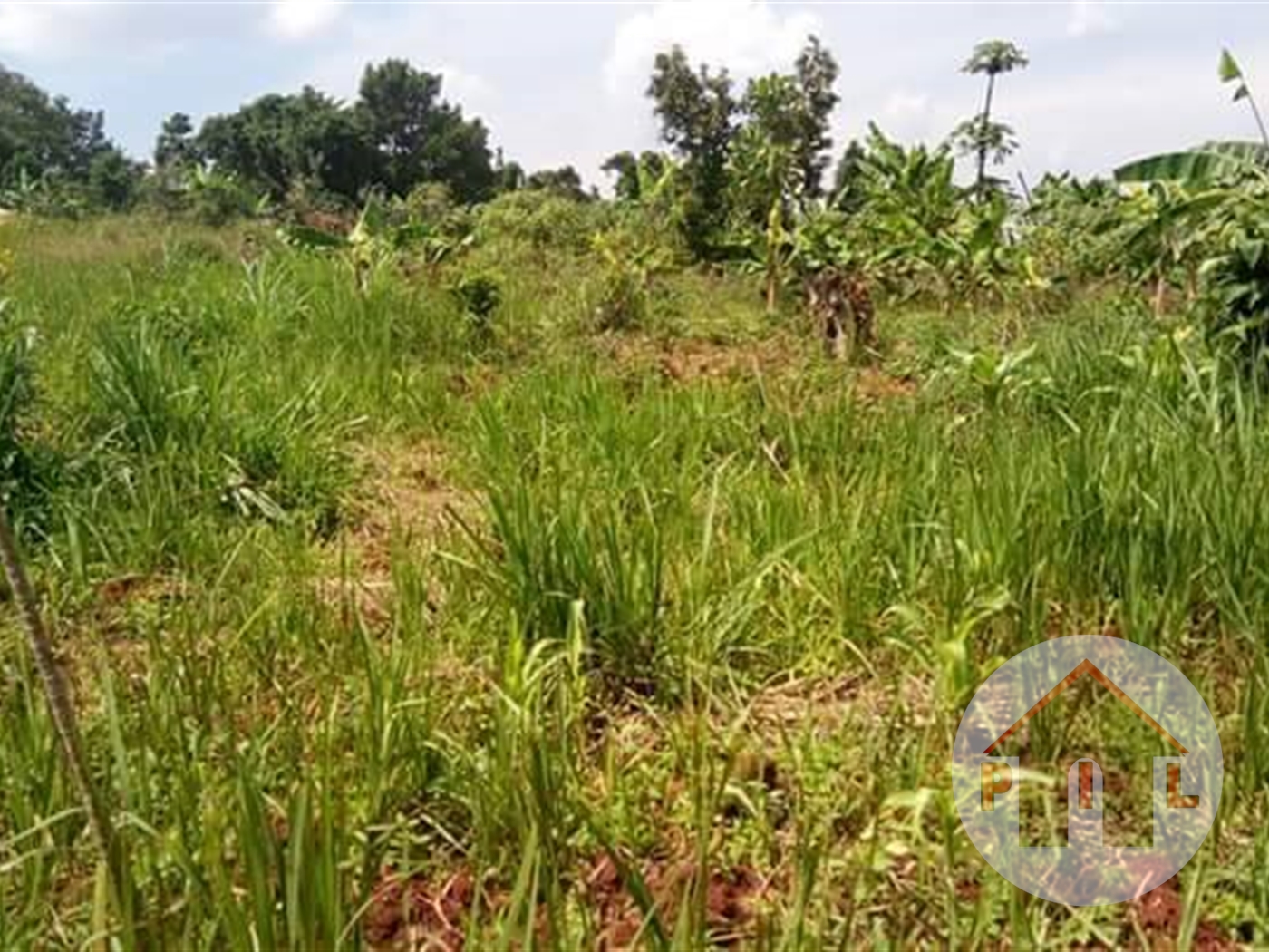 Agricultural Land for sale in Nakweelo Wakiso