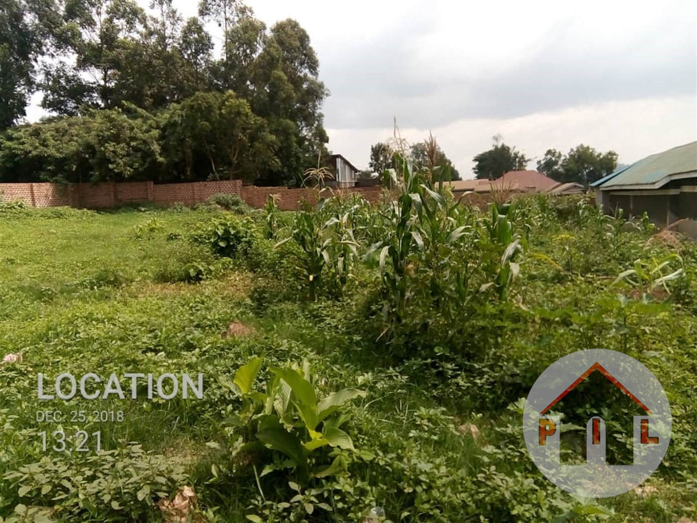 Agricultural Land for sale in Kikyuusa Luweero