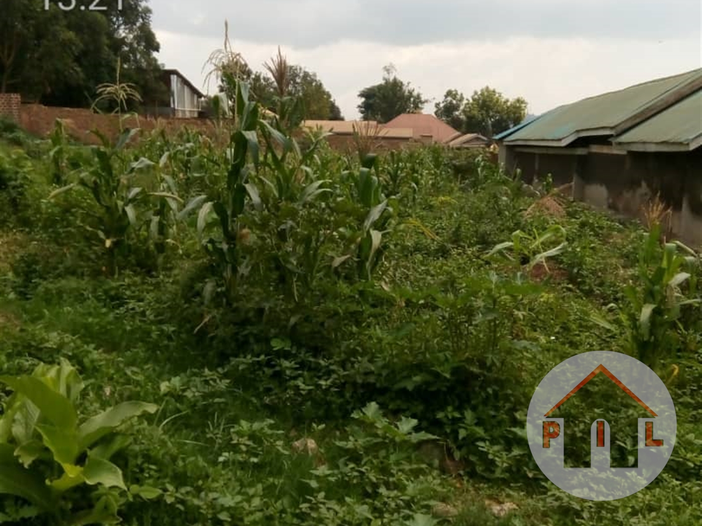 Agricultural Land for sale in Kikyuusa Luweero