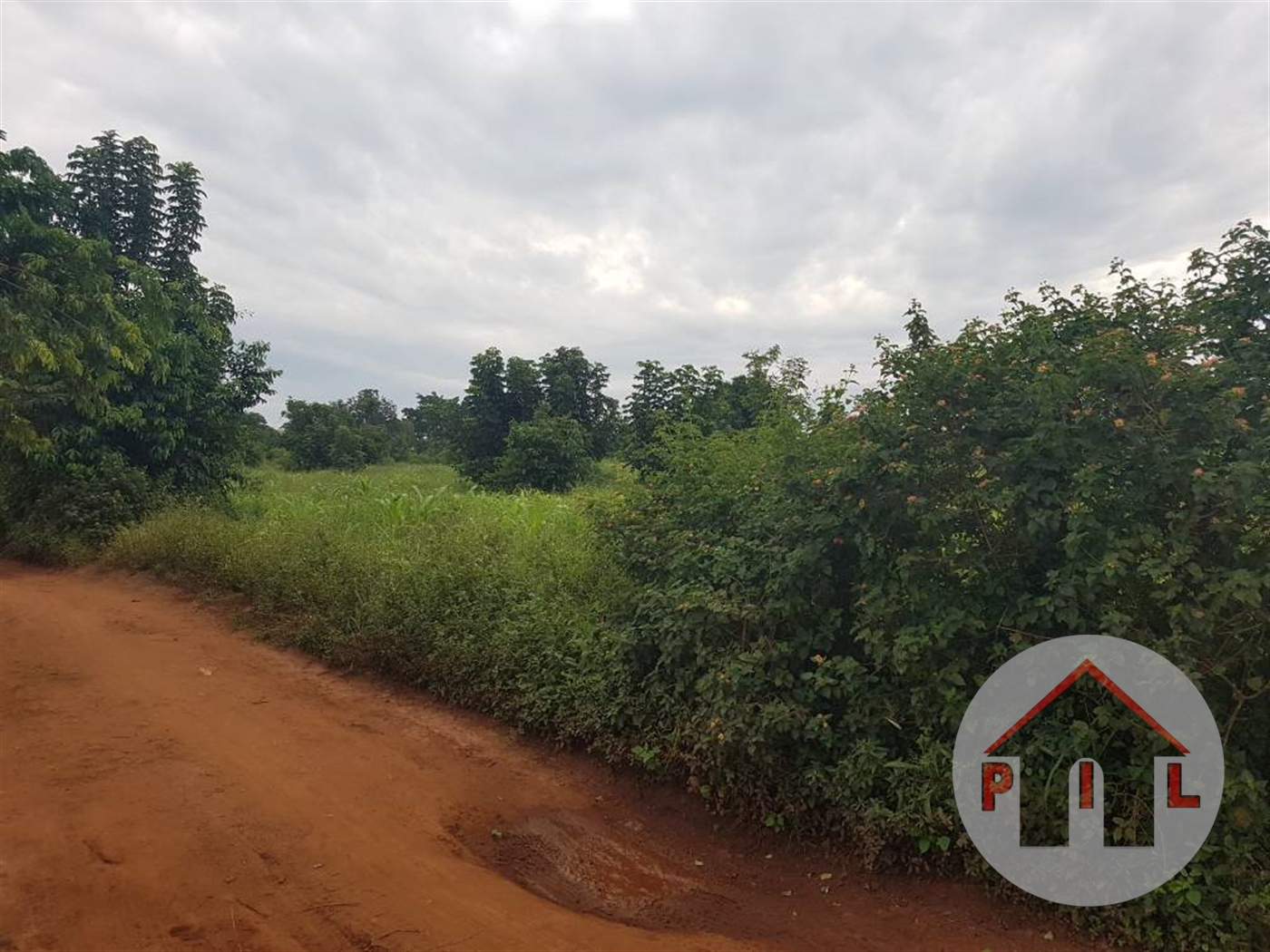 Agricultural Land for sale in Kikyuusa Luweero