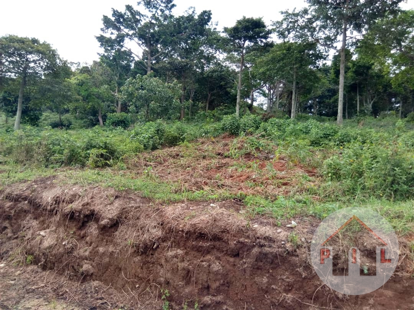 Agricultural Land for sale in Kikyuusa Luweero