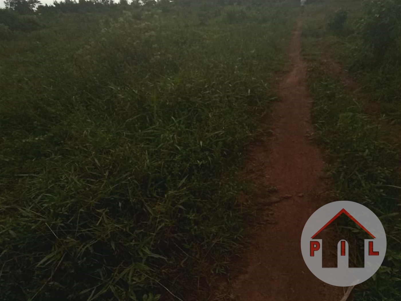 Agricultural Land for sale in Kabembe Mukono