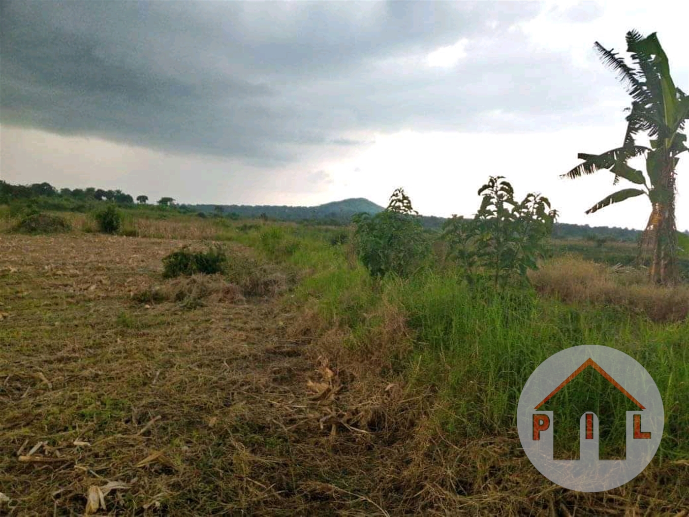Agricultural Land for sale in Nakweelo Wakiso