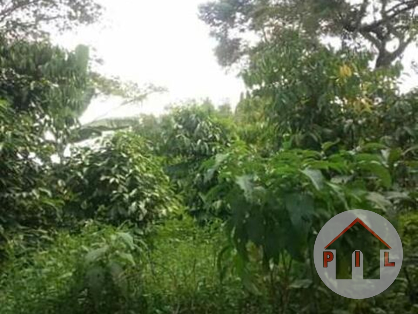 Agricultural Land for sale in Katugo Luweero