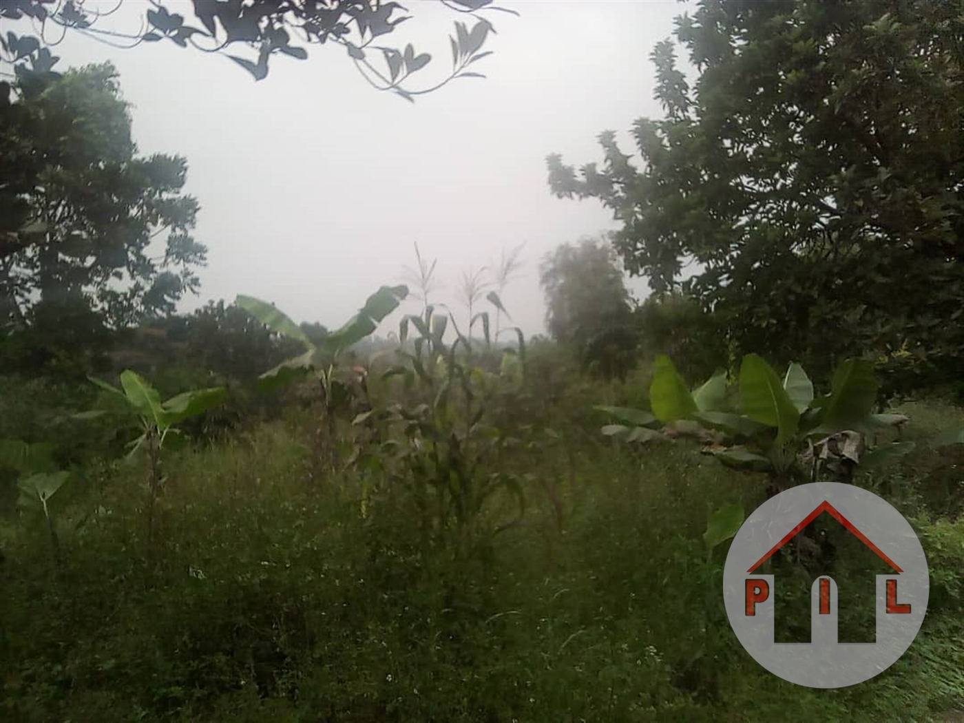 Agricultural Land for sale in Katugo Luweero