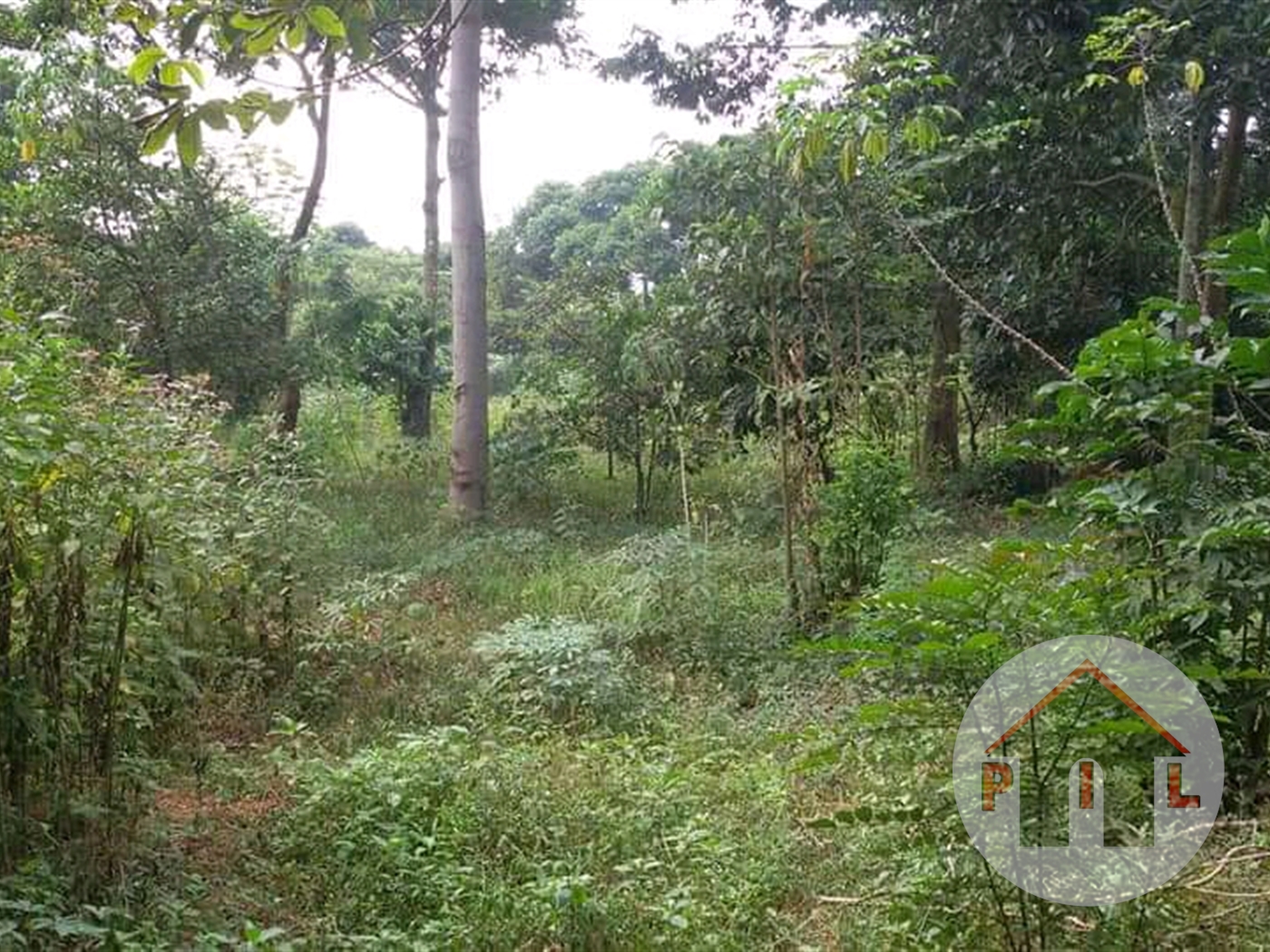 Agricultural Land for sale in Katende Masaka