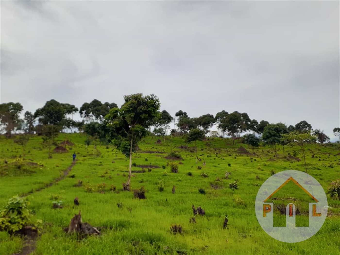 Agricultural Land for sale in Kisigula Wakiso