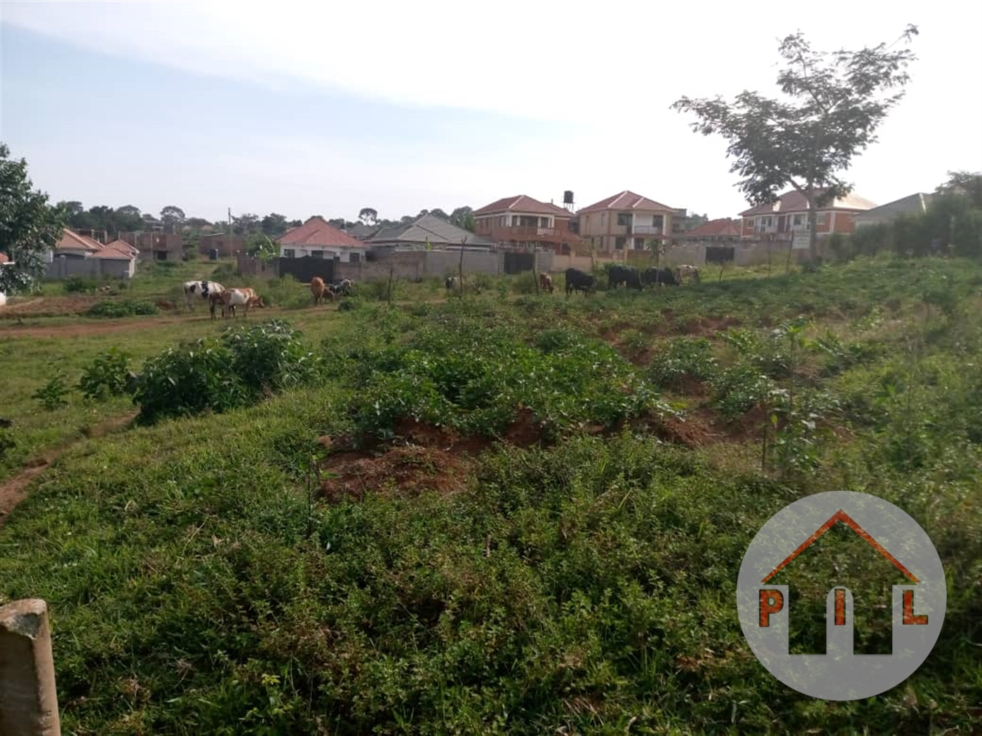 Residential Land for sale in Garuga Wakiso