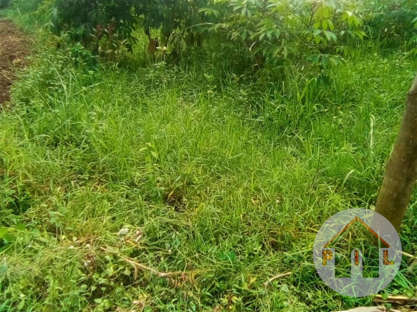 Residential Land for sale in Mpoma Mukono