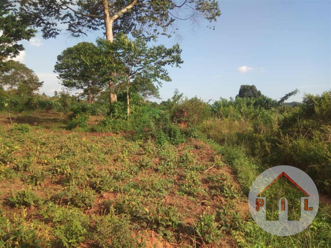 Agricultural Land for sale in Busiika Wakiso