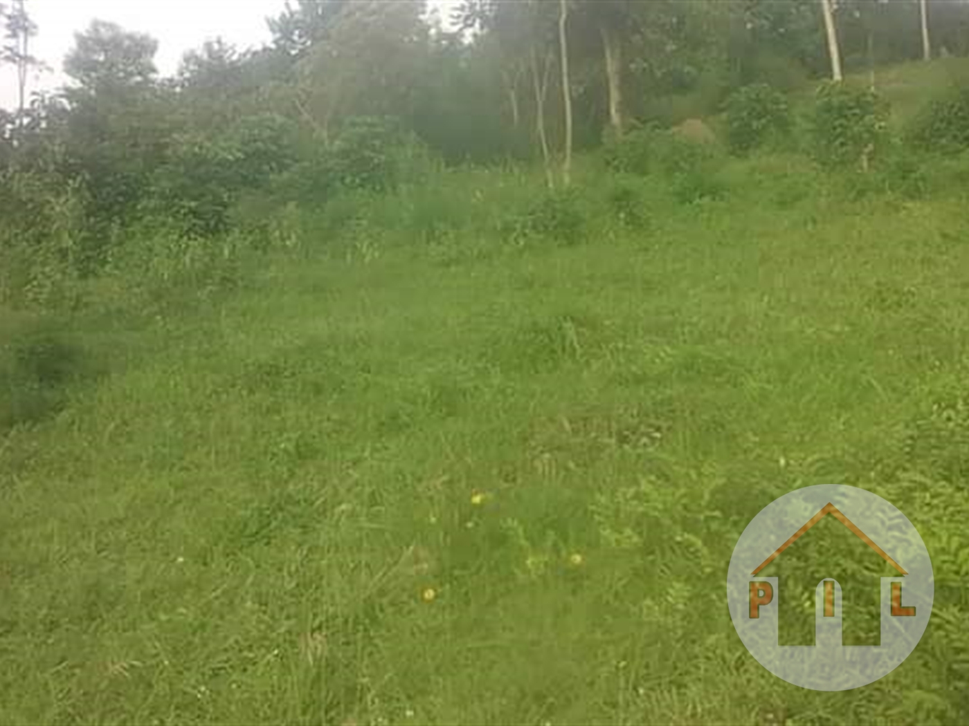 Agricultural Land for sale in Nakassajja Wakiso