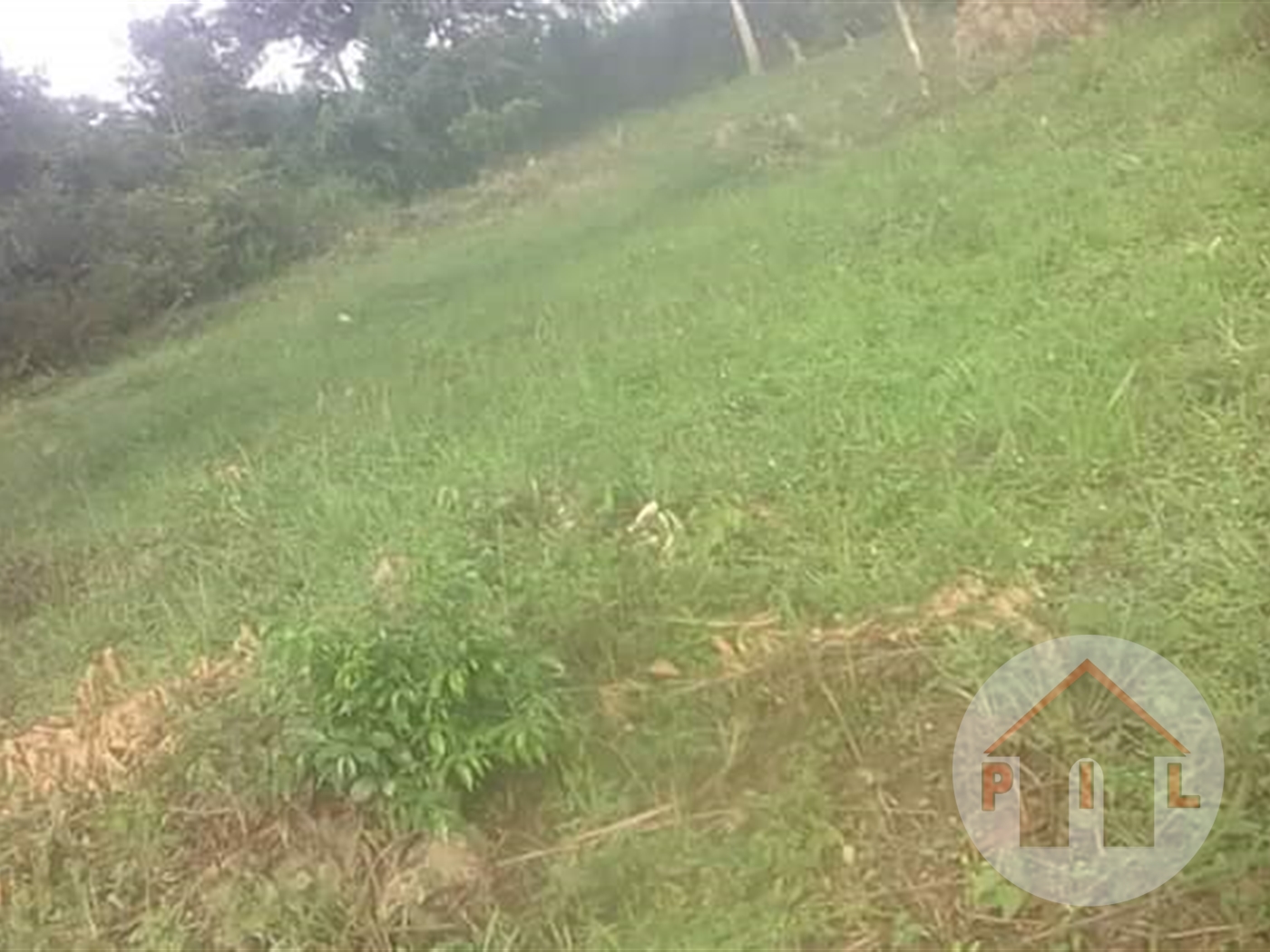 Agricultural Land for sale in Nakassajja Wakiso