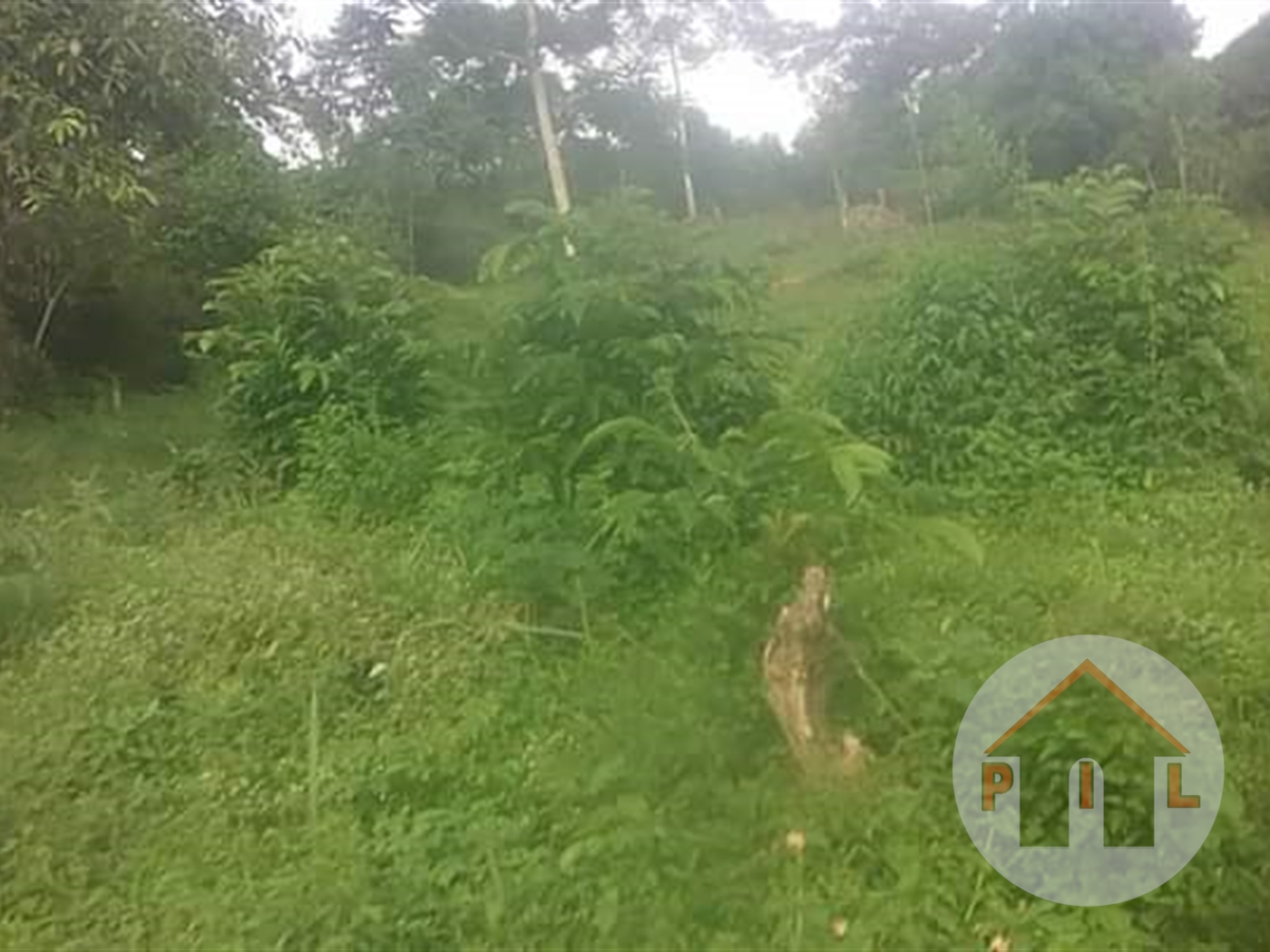 Agricultural Land for sale in Nakassajja Wakiso