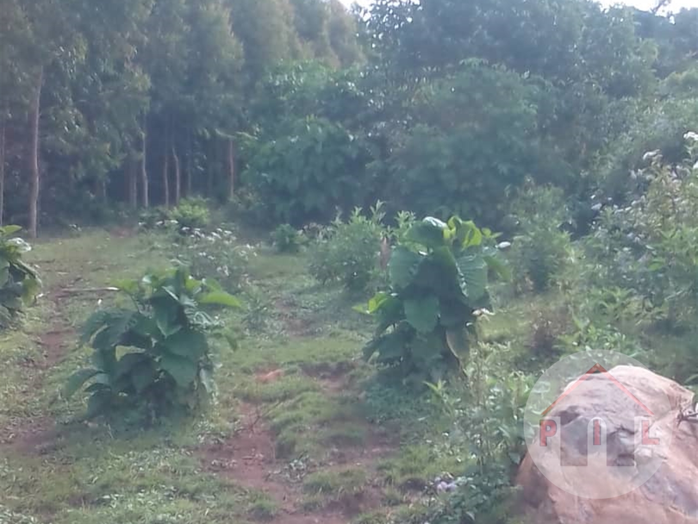 Residential Land for sale in Nakassajja Wakiso