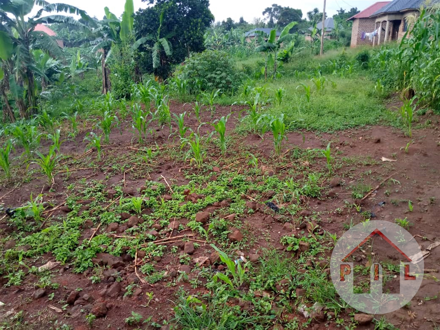 Residential Land for sale in Mukono Mukono