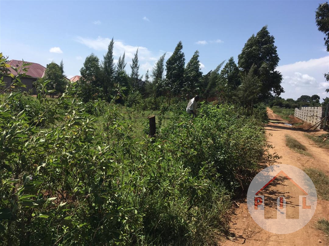 Agricultural Land for sale in Kayunga Mukono