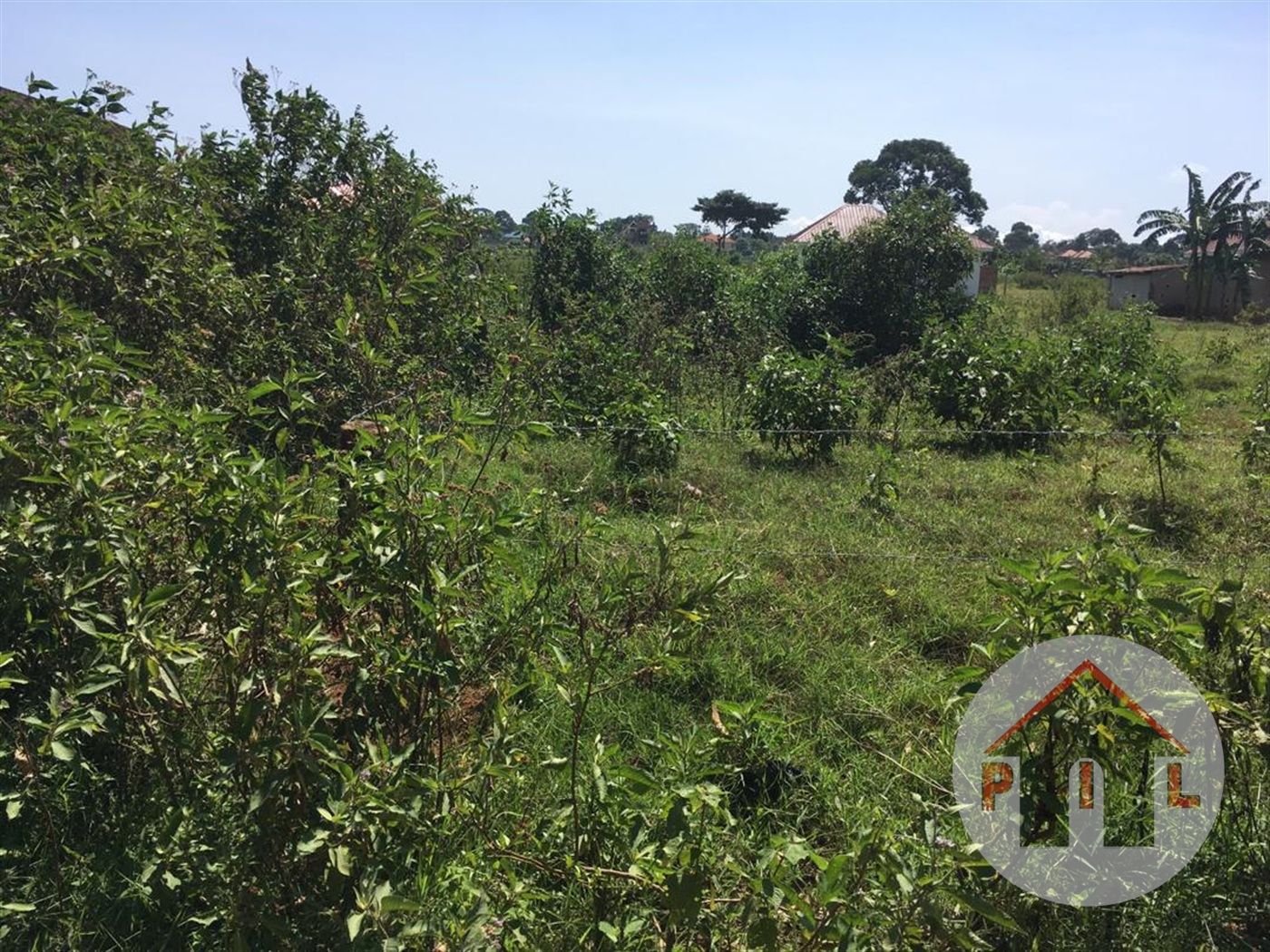 Agricultural Land for sale in Kayunga Mukono