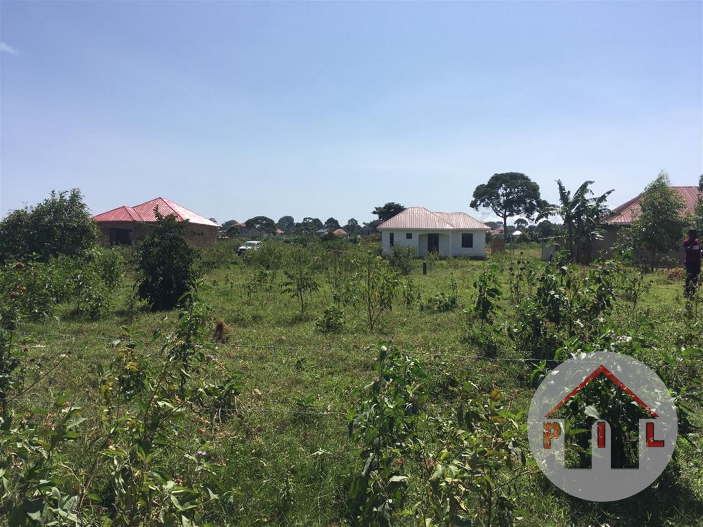 Agricultural Land for sale in Kayunga Mukono