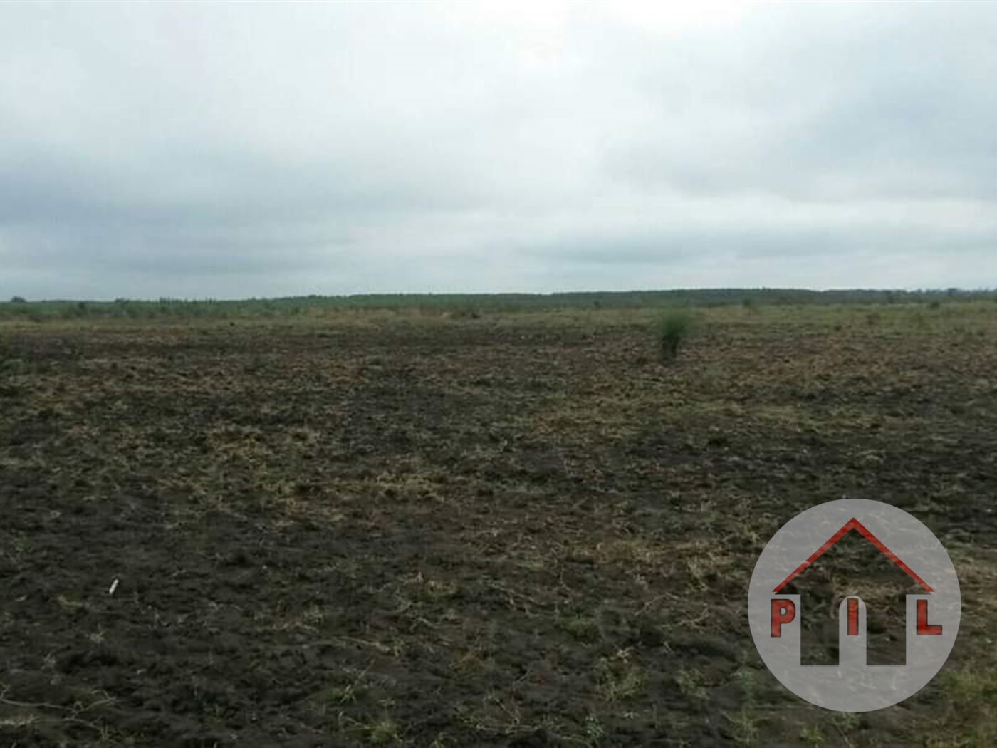 Agricultural Land for sale in Bukedea Kumi