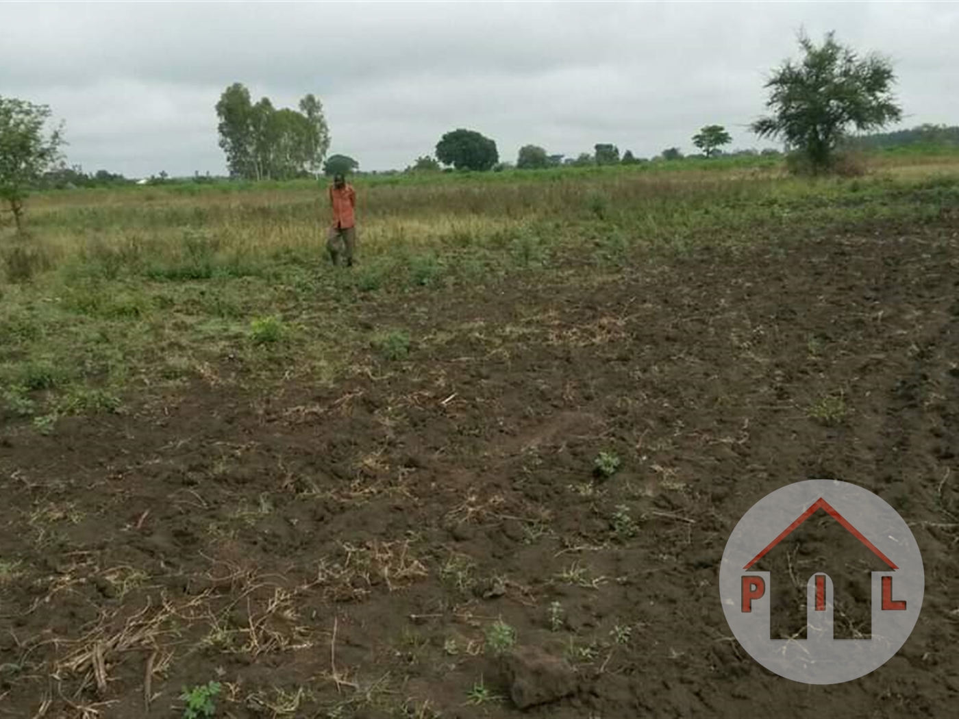 Agricultural Land for sale in Bukedea Kumi