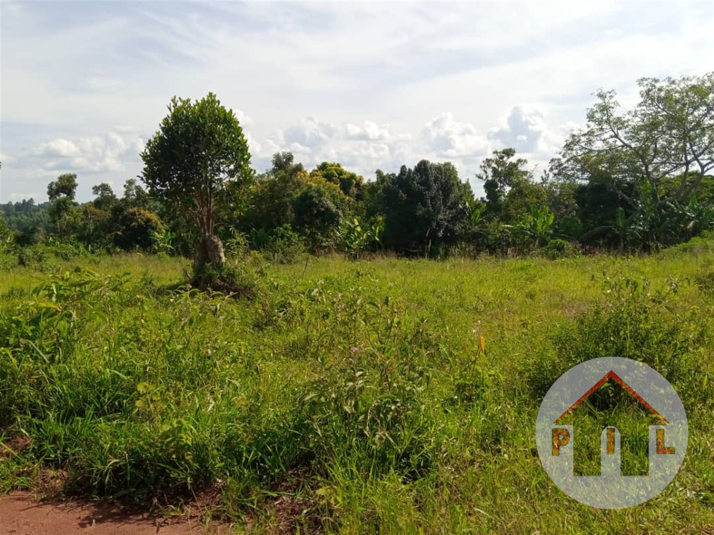 Agricultural Land for sale in Busunjju Wakiso