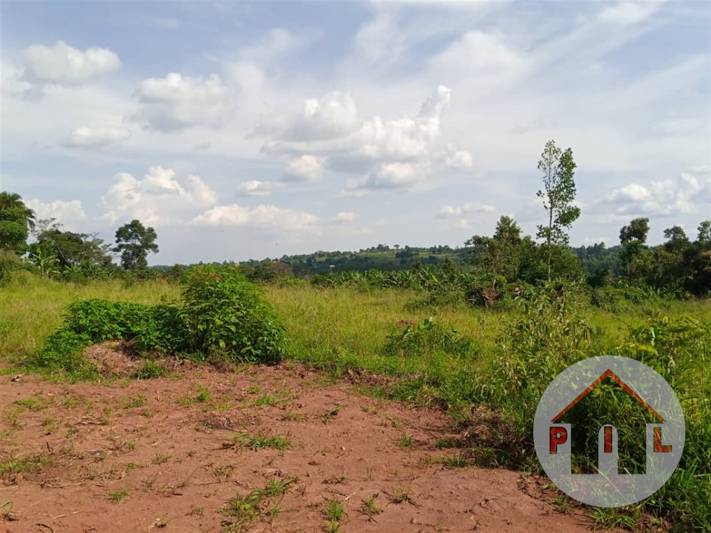 Agricultural Land for sale in Ssemuto Nakaseke