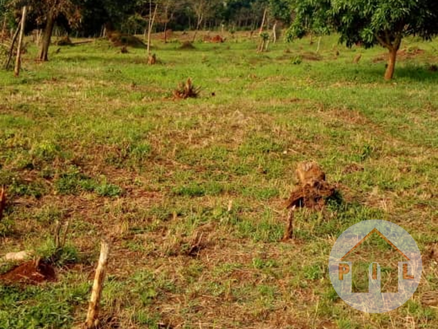 Agricultural Land for sale in Kyaggwe Mukono