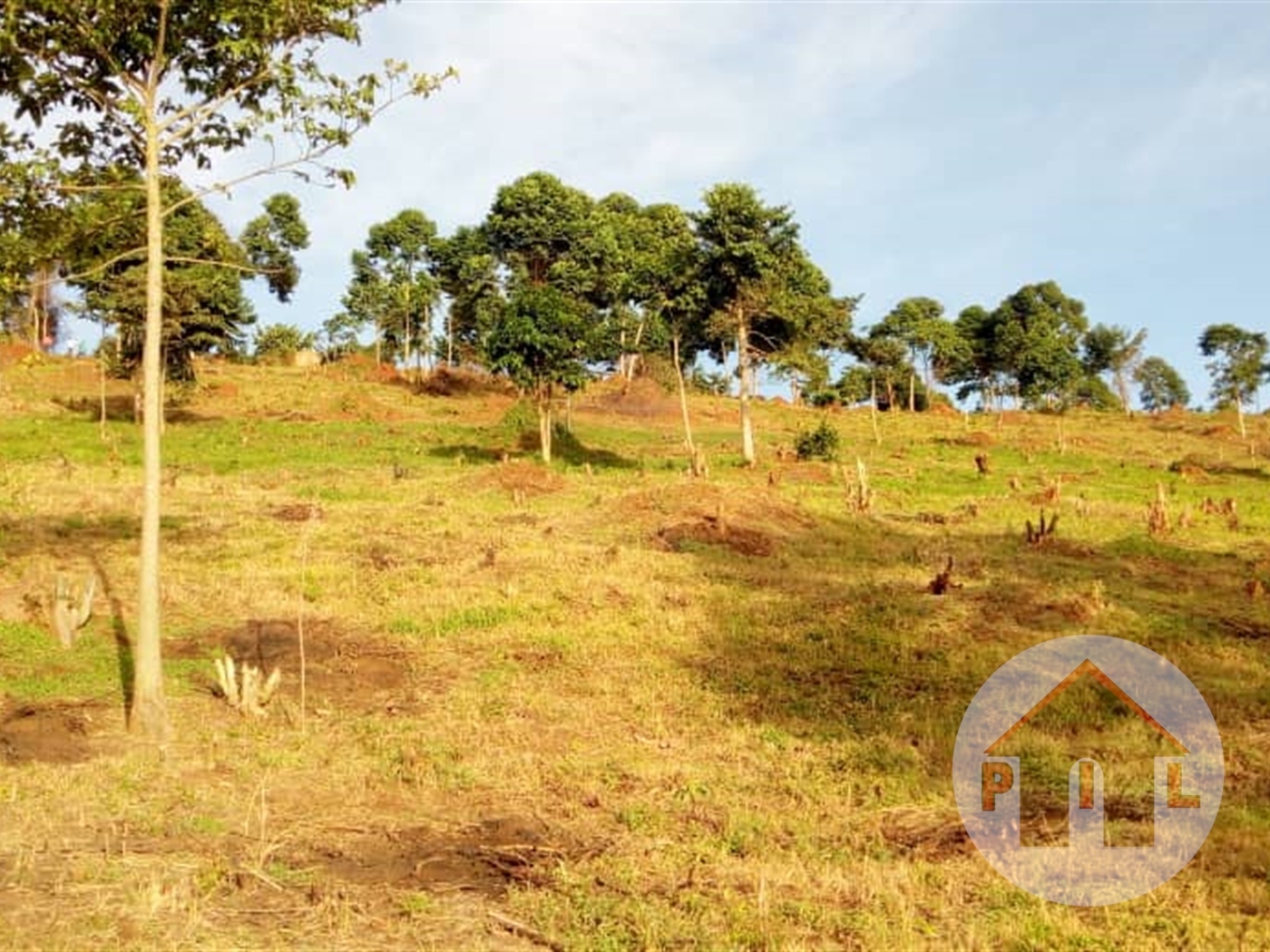 Agricultural Land for sale in Kyaggwe Mukono