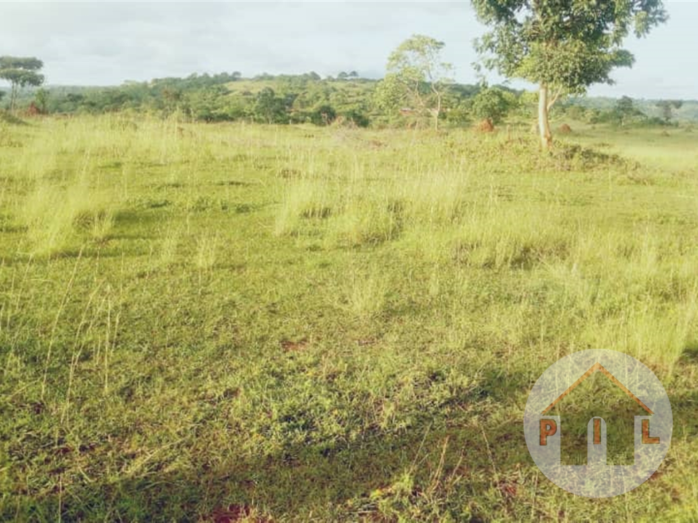 Agricultural Land for sale in Kyaggwe Mukono