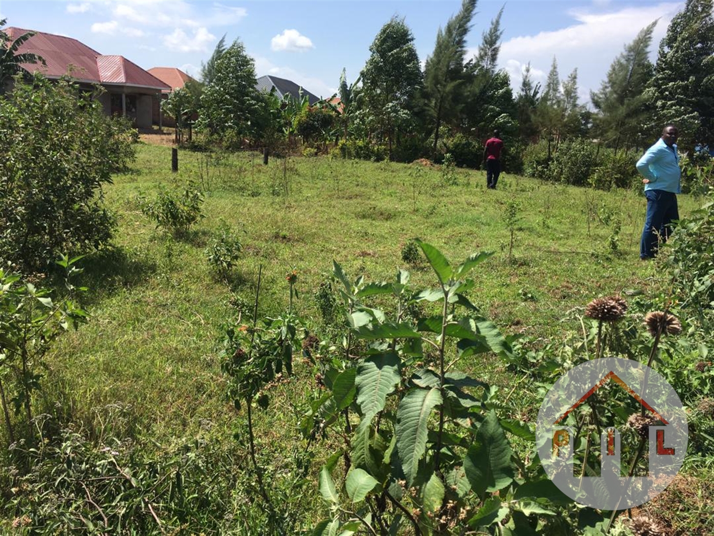 Commercial Land for sale in Busaabala Wakiso