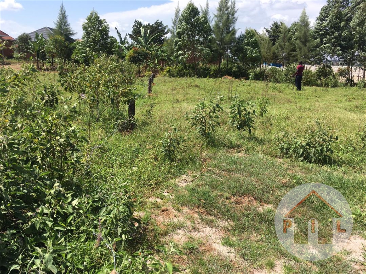 Commercial Land for sale in Busaabala Wakiso