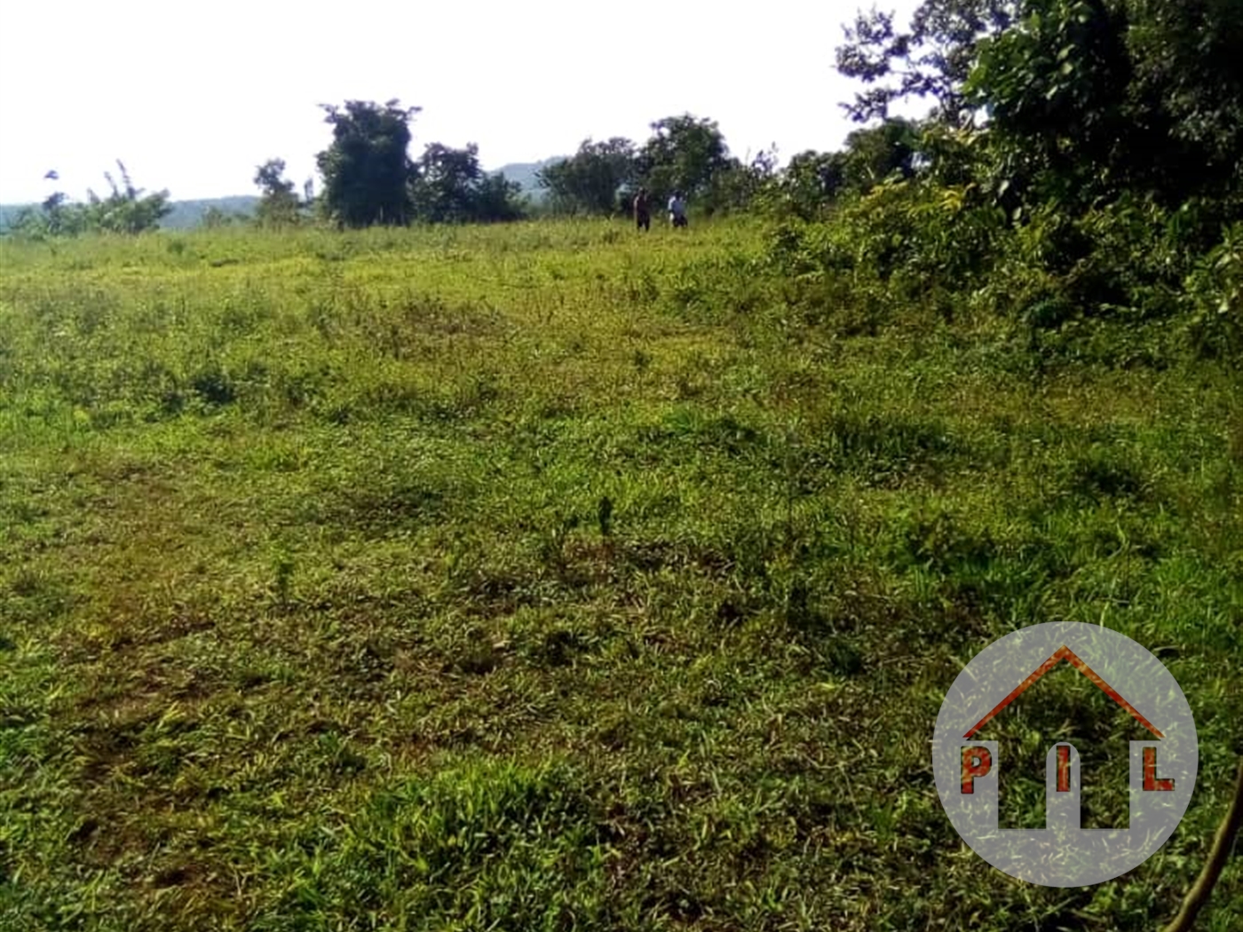 Agricultural Land for sale in Kisigula Mukono