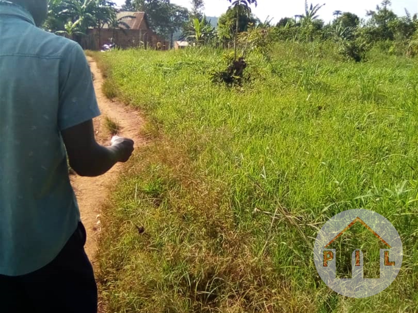 Agricultural Land for sale in Kisigula Mukono