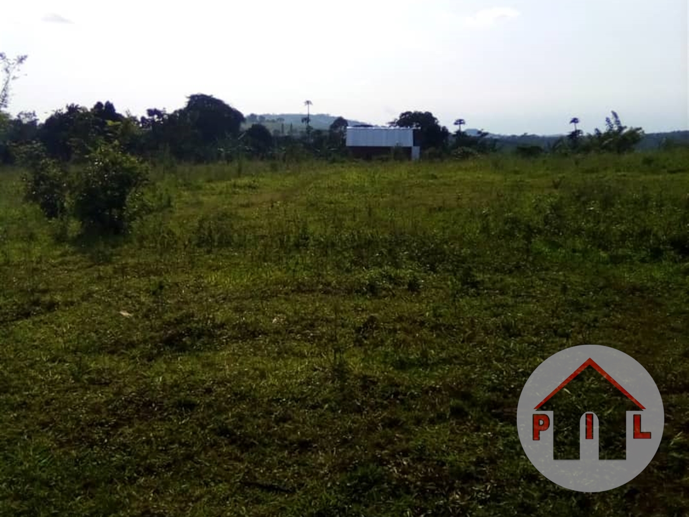 Agricultural Land for sale in Kisigula Mukono