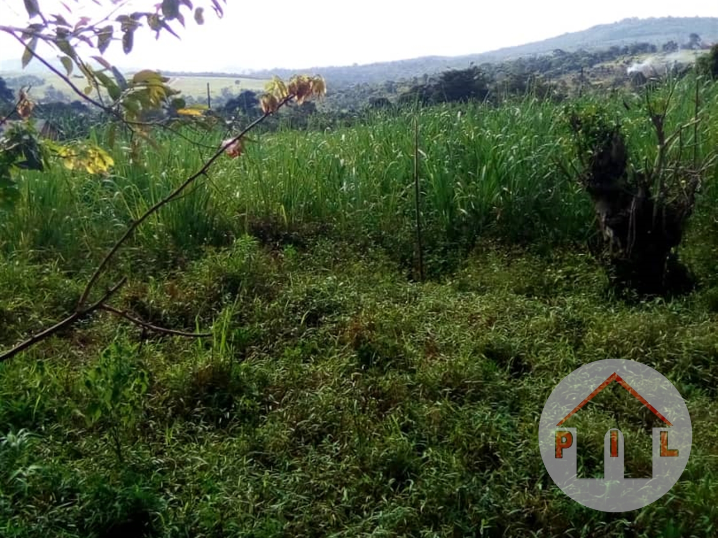 Agricultural Land for sale in Kisigula Mukono