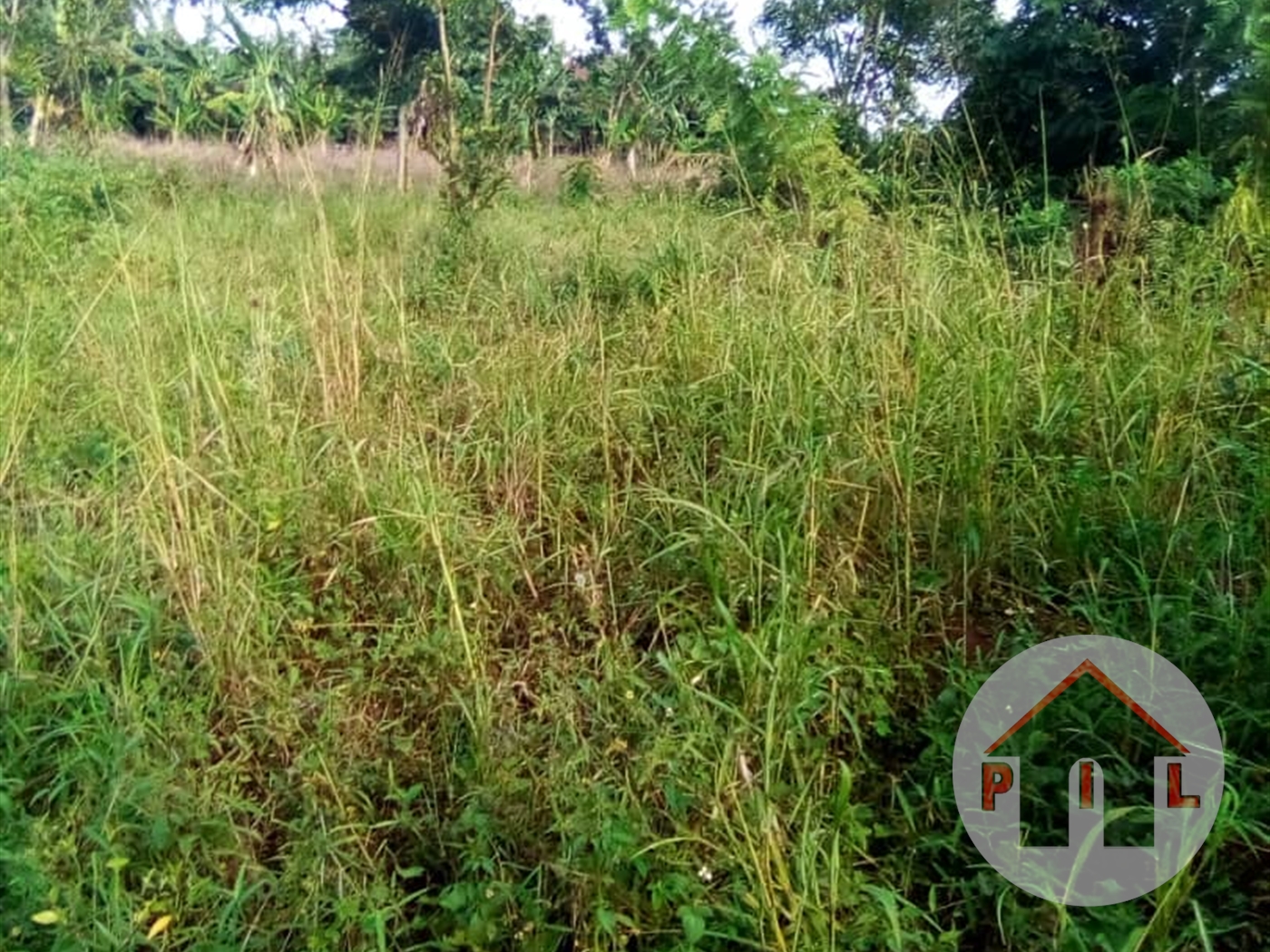 Agricultural Land for sale in Kisigula Mukono