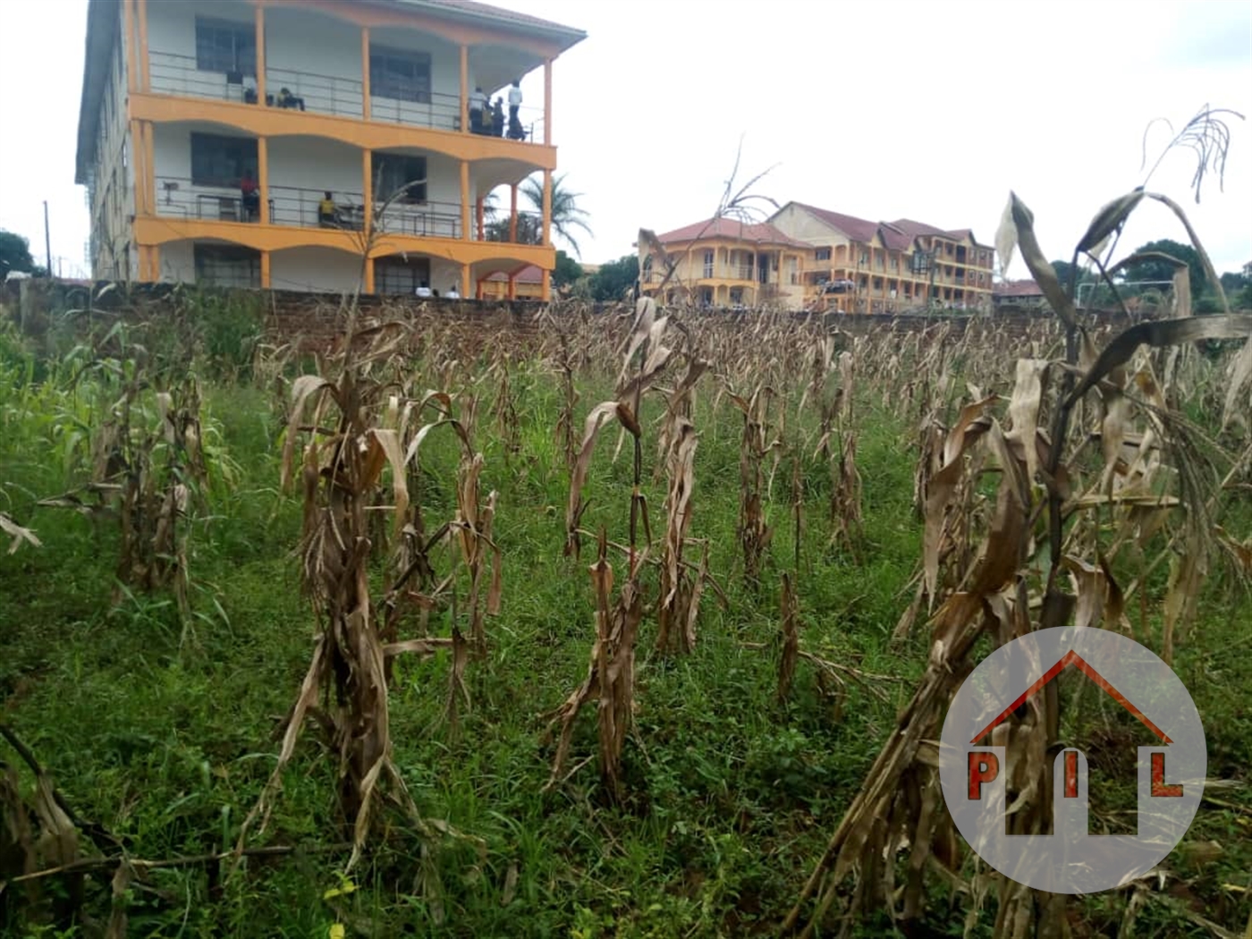 Residential Land for sale in Kitende Wakiso