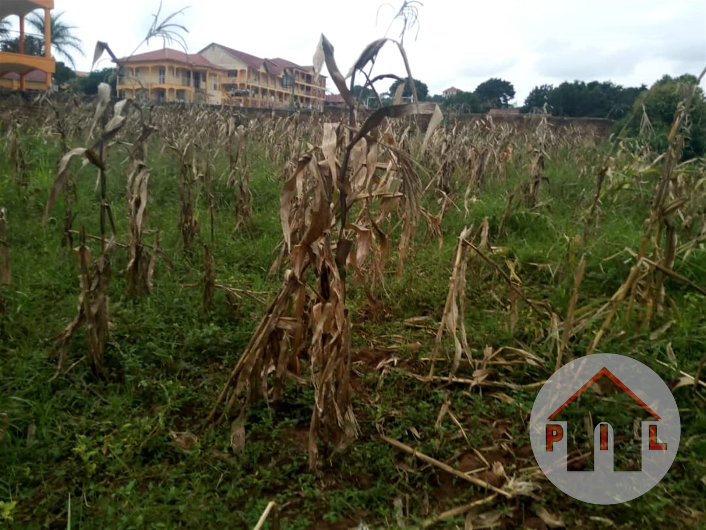 Residential Land for sale in Kitende Wakiso