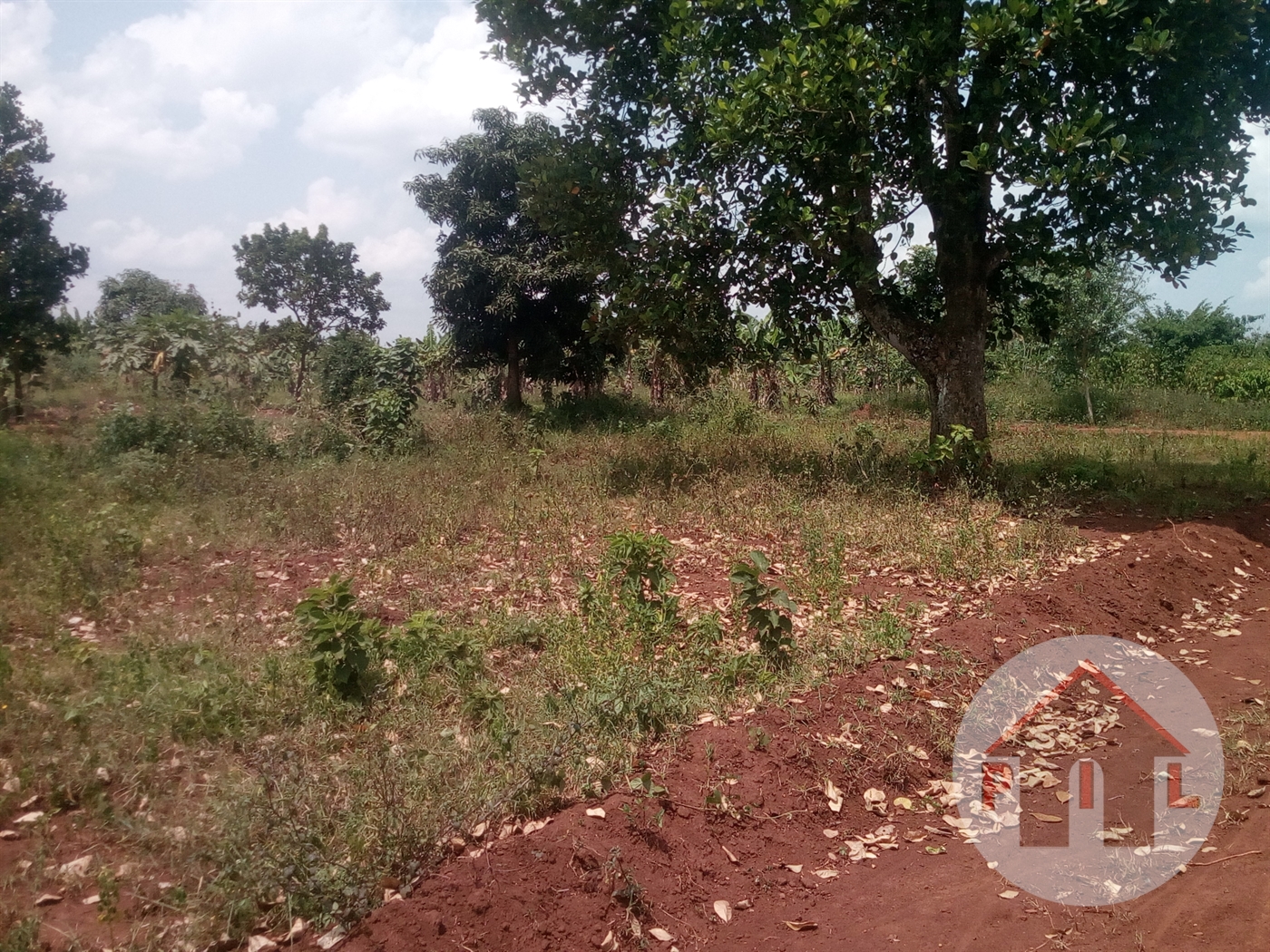 Residential Land for sale in Mukono Mukono