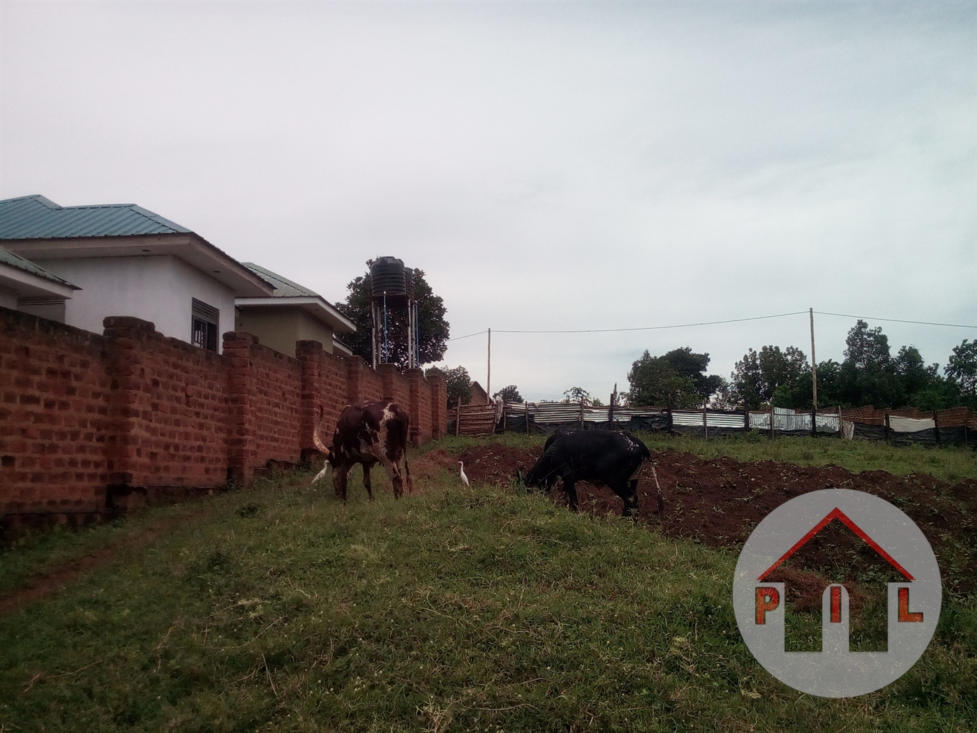 Residential Land for sale in Mukono Mukono