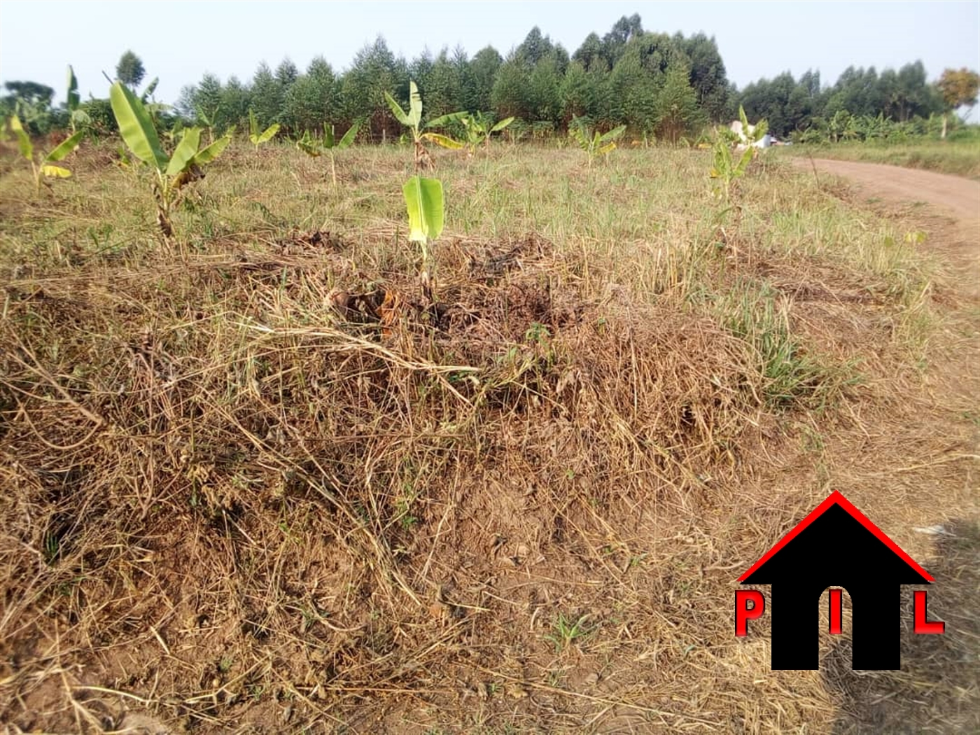 Residential Land for sale in Busukuma Wakiso