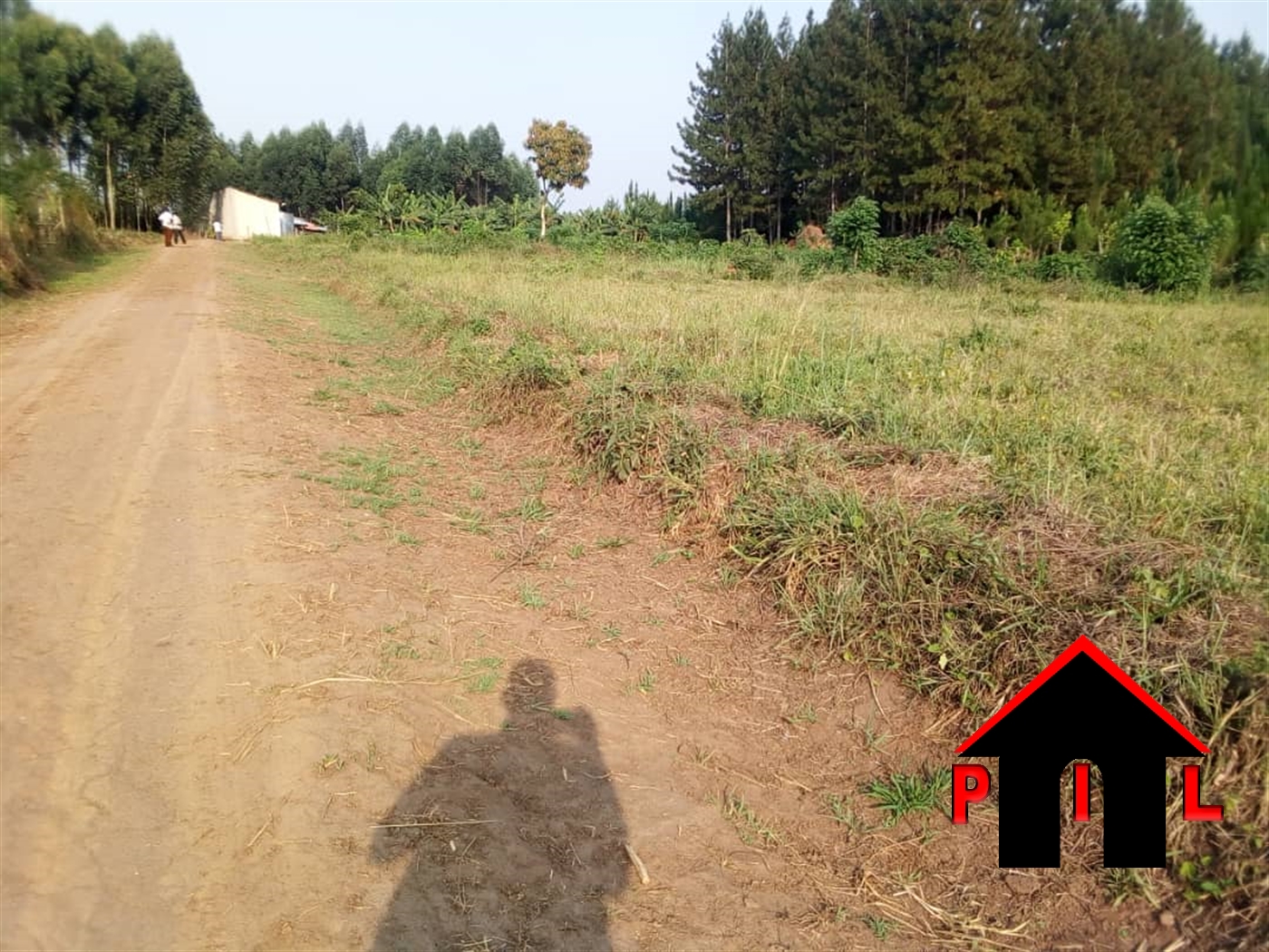 Residential Land for sale in Busukuma Wakiso