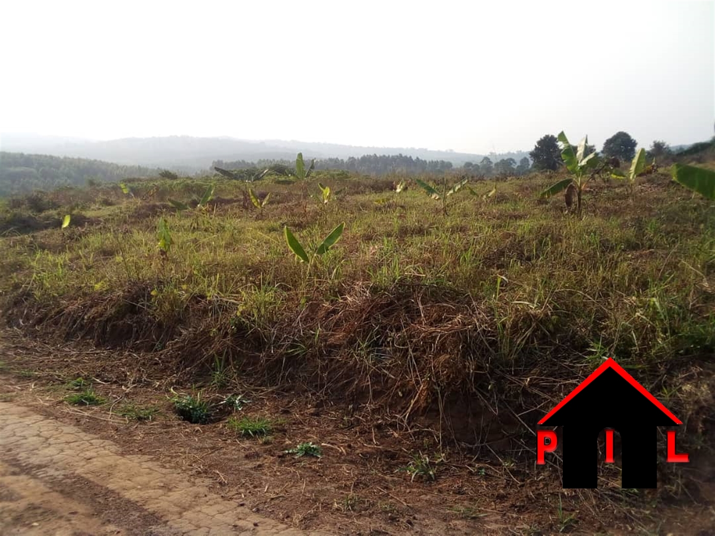 Residential Land for sale in Busukuma Wakiso